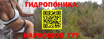 мяу мяу мука Краснознаменск