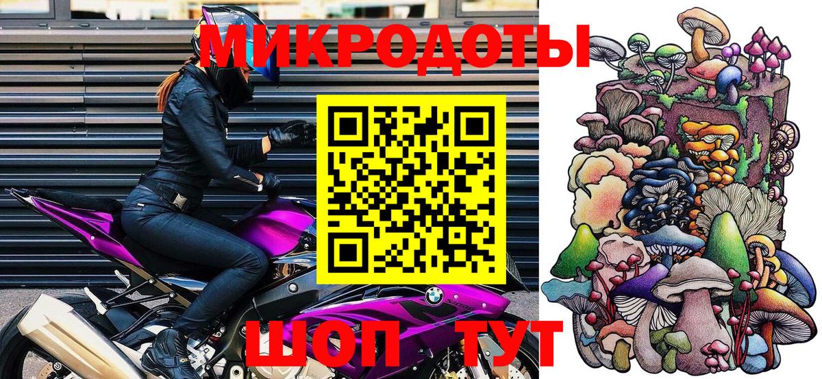 Галлюциногенные грибы Psilocybe Корсаков