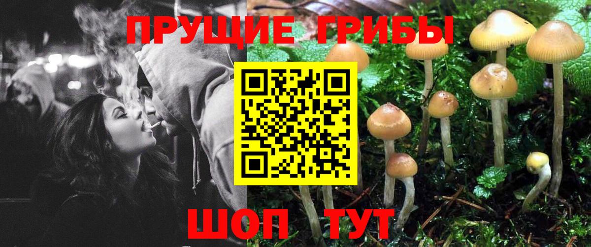 Корсаков  Псилоцибиновые грибы GOLDEN TEACHER  Вход с VPN  Галлюциногенные грибы мухоморы 